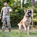 Dogs of Grafenwöhr