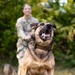Dogs of Grafenwöhr