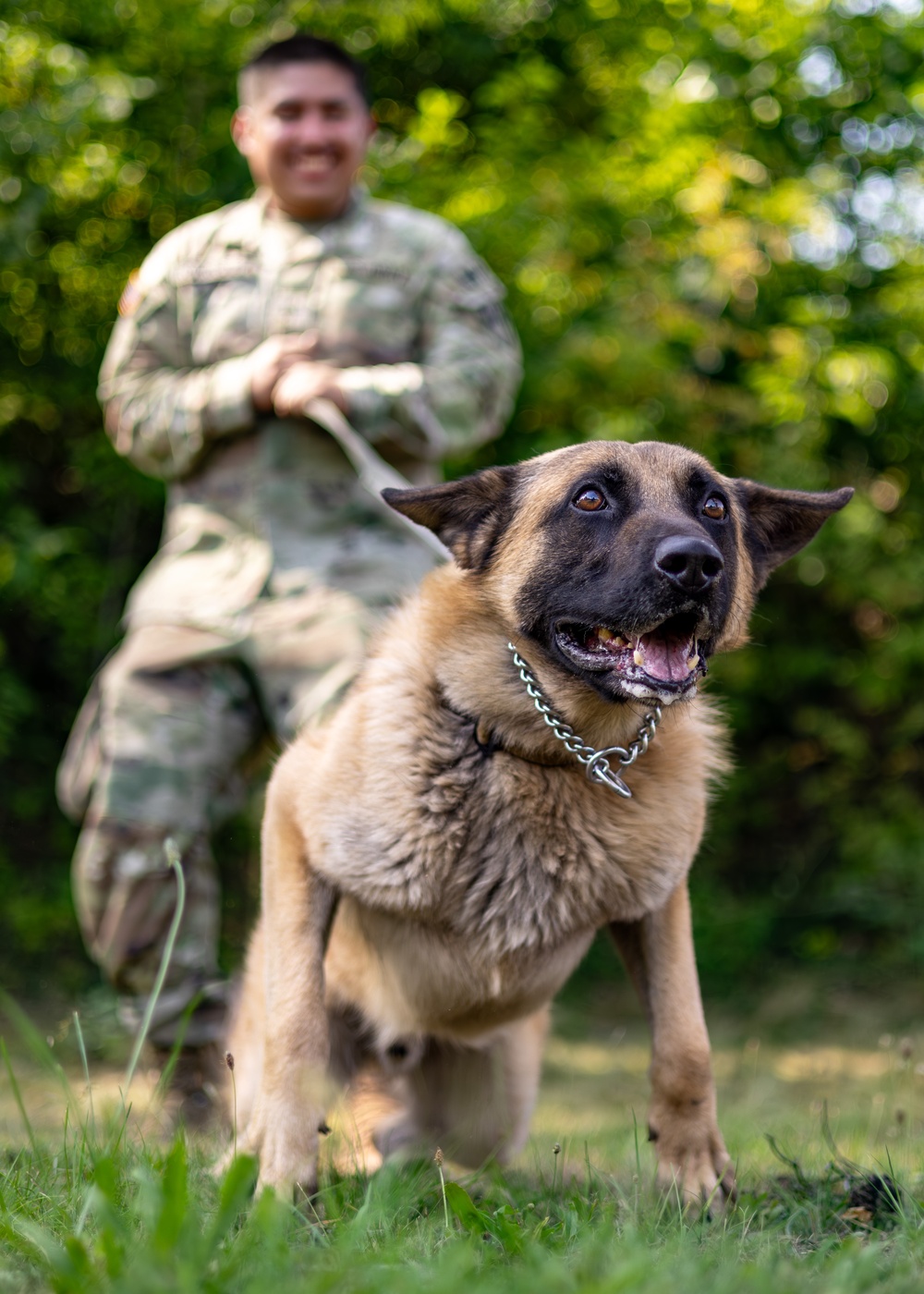 Dogs of Grafenwöhr