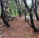 Tomahawk Battalion, 2-23 Infantry, conducts Squad Live Fire Exercise