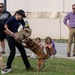 SETAF-AF hosts 5th annual ‘Bring Your Lion Cub To Work Day’