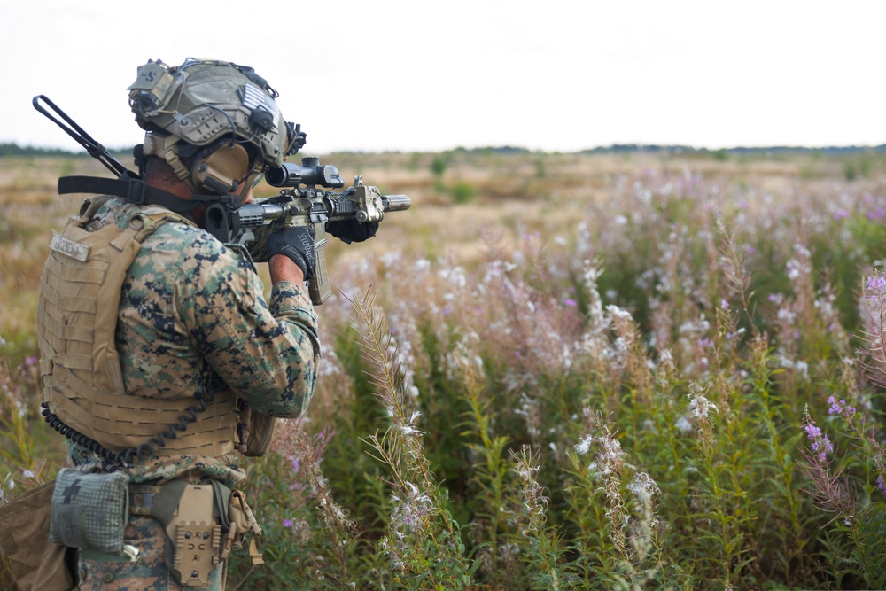 U.S. Marines train in Estonia