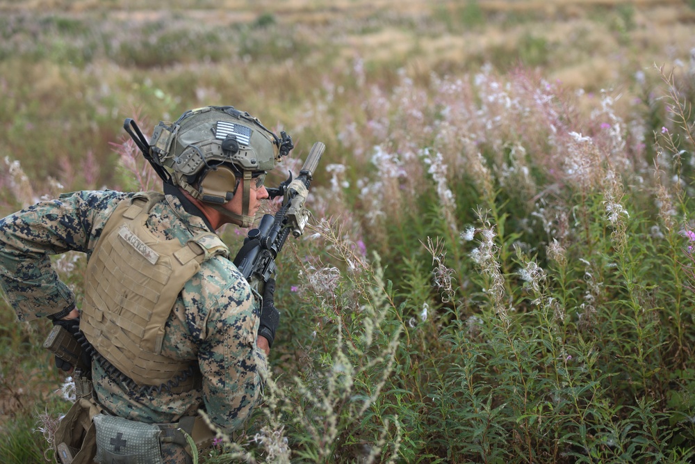 U.S. Marines train in Estonia