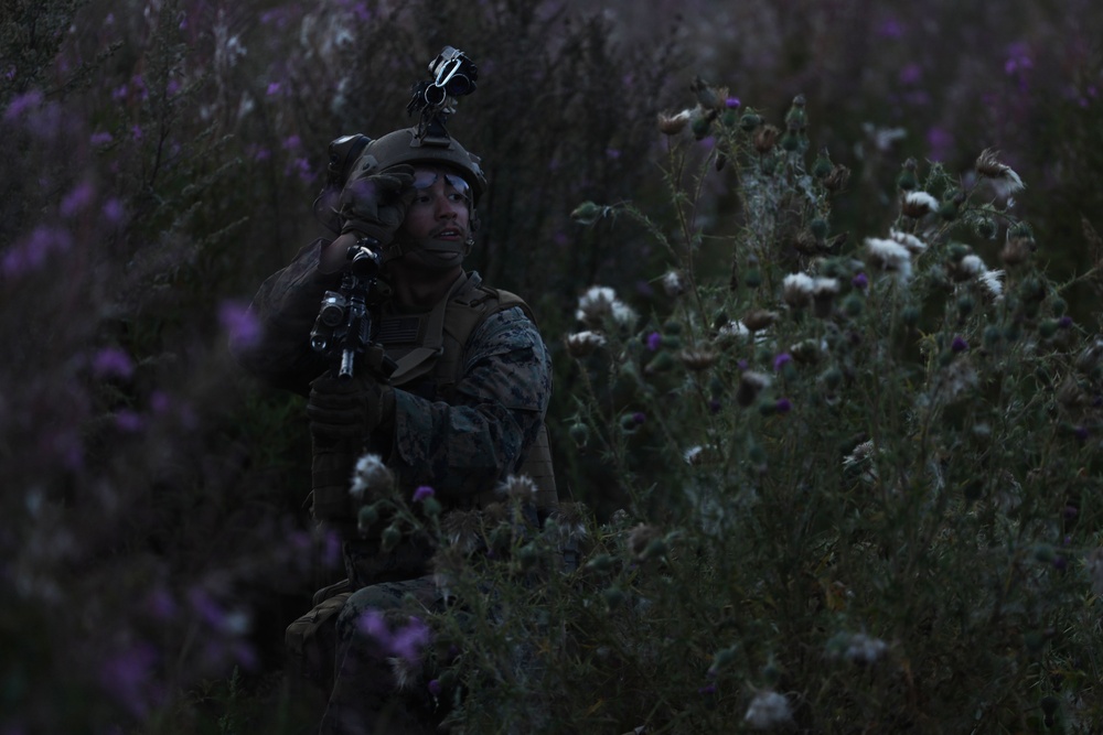 U.S. Marines train in Estonia