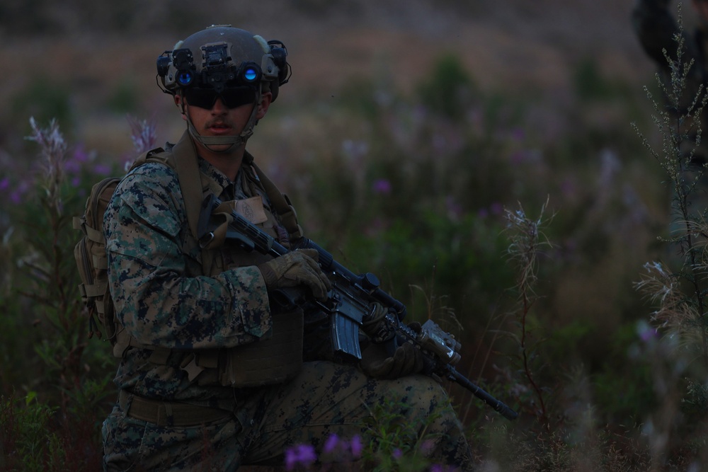 U.S. Marines train in Estonia