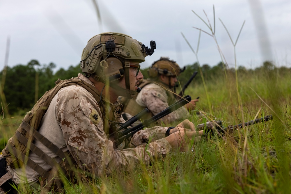 Burmese Chase 25 Joint Combined Fire