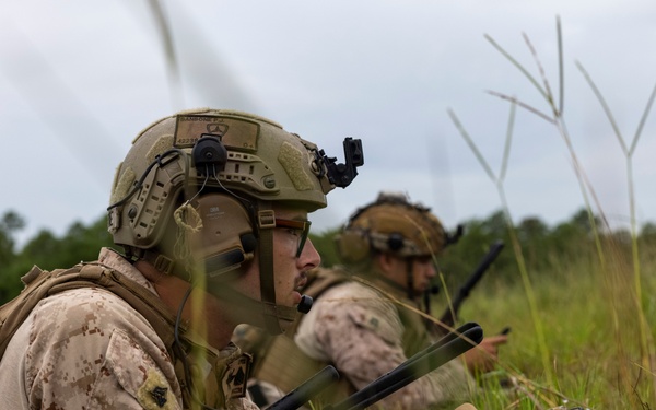 Burmese Chase 25 Joint Combined Fire