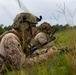 Burmese Chase 25 Joint Combined Fire