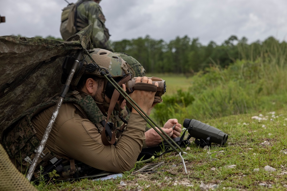 Burmese Chase 25 Joint Combined Fire
