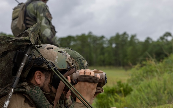 Burmese Chase 25 Joint Combined Fire