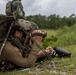 Burmese Chase 25 Joint Combined Fire