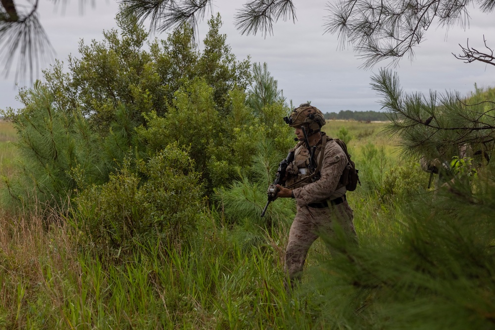 Burmese Chase 25 Joint Combined Fire