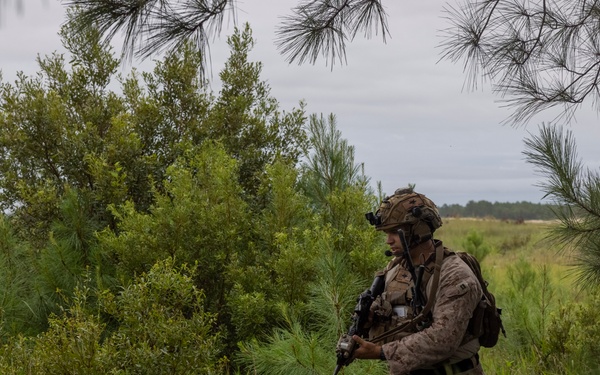Burmese Chase 25 Joint Combined Fire