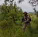 Burmese Chase 25 Joint Combined Fire
