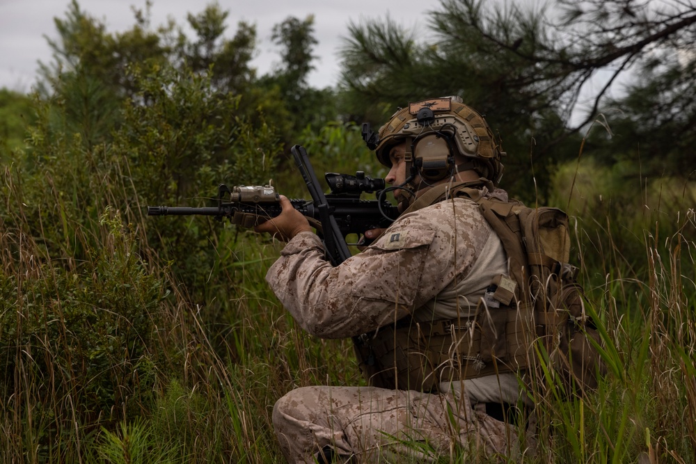 Burmese Chase 25 Joint Combined Fire