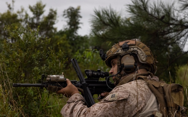 Burmese Chase 25 Joint Combined Fire