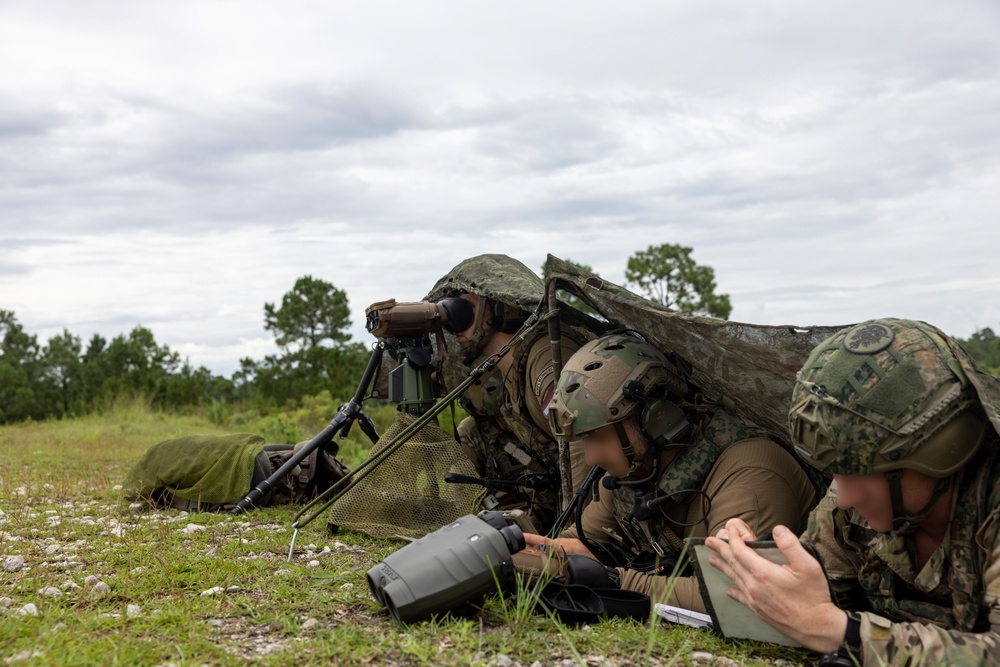 Burmese Chase 25 Joint Combined Fire