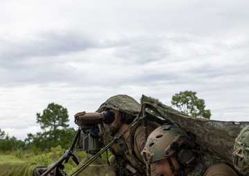 Burmese Chase 25 Joint Combined Fire