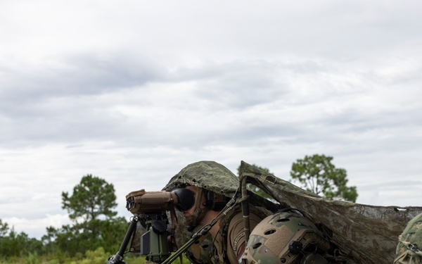 Burmese Chase 25 Joint Combined Fire