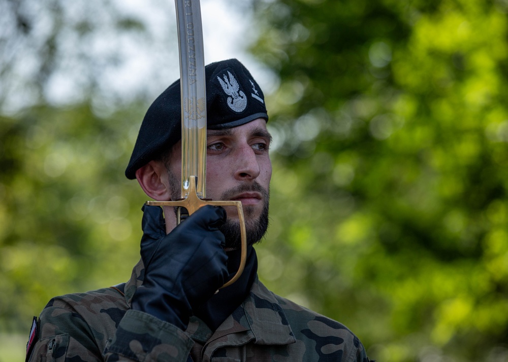 Polish Armed Forces Day Poznan 2025