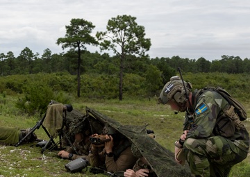 Burmese Chase 25 Joint Combined Fire