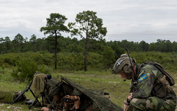 Burmese Chase 25 Joint Combined Fire