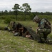Burmese Chase 25 Joint Combined Fire