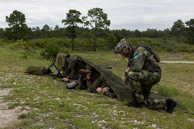 Burmese Chase 25 Joint Combined Fire