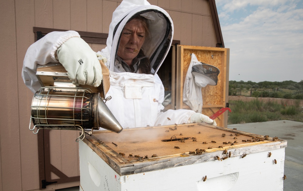 Patricia Gilbert-Ball: natural resource specialist, beekeeper