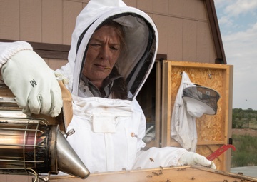 Patricia Gilbert-Ball: natural resource specialist, beekeeper