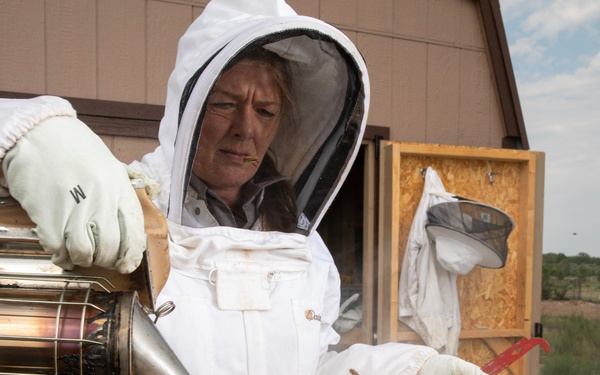 Patricia Gilbert-Ball: natural resource specialist, beekeeper