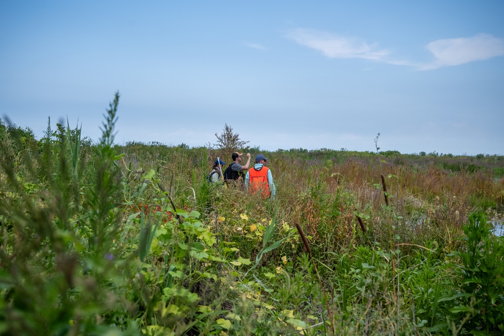 Buffalo District's Environment Analysis Team Stops at Port Clinton Wetlands