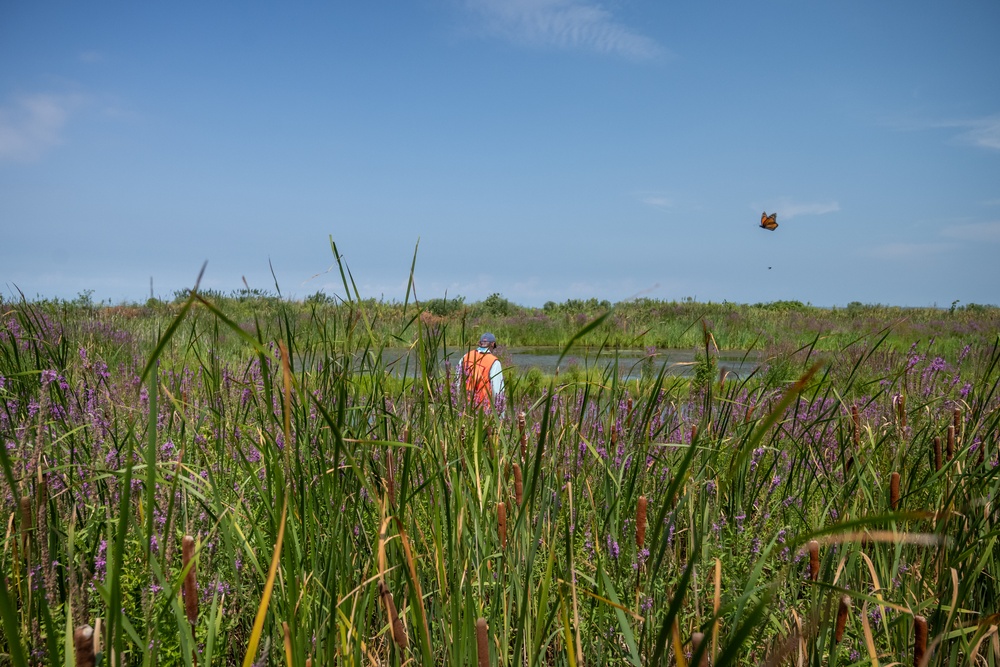 Buffalo District's Environment Analysis Team Stops at Port Clinton Wetlands