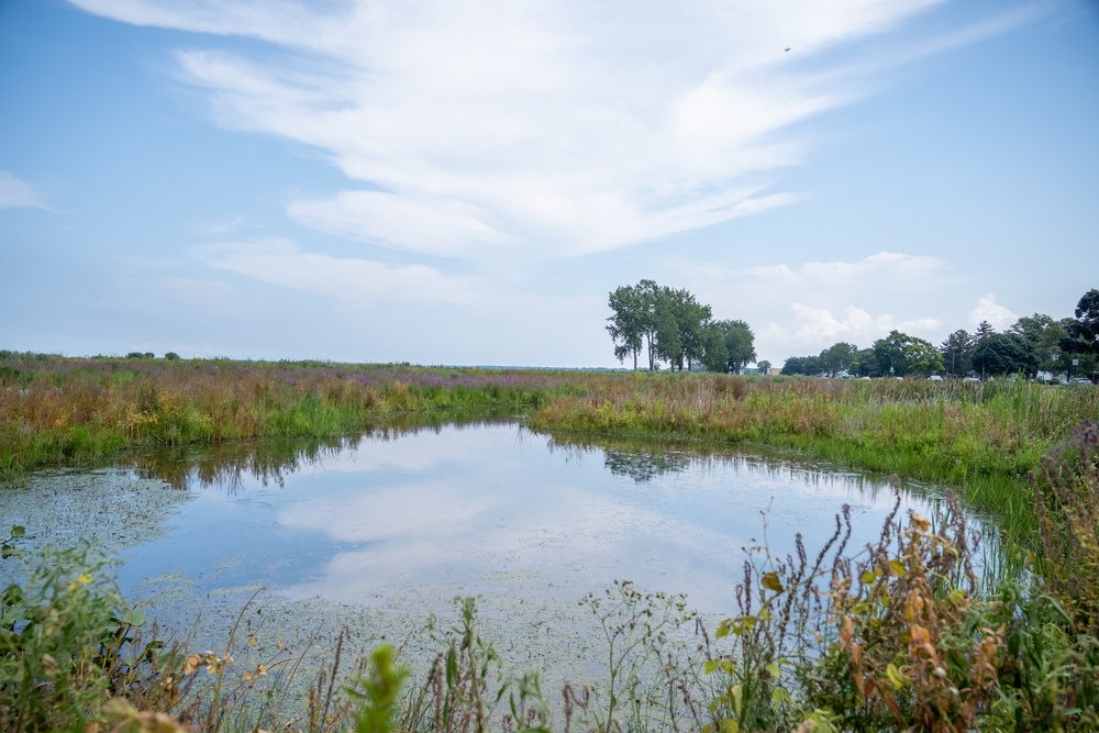 Buffalo District's Environment Analysis Team Stops at Port Clinton Wetlands