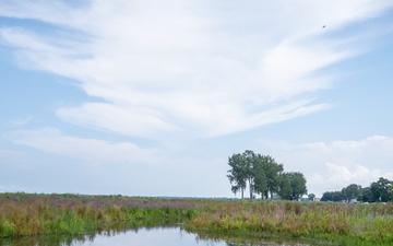 Buffalo District's Environment Analysis Team Stops at Port Clinton Wetlands