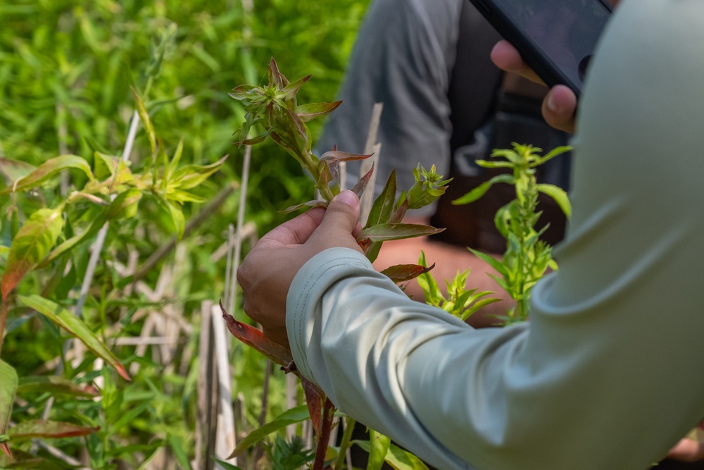 Buffalo District's Environment Analysis Team Stops at Port Clinton Wetlands