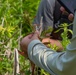 Buffalo District's Environment Analysis Team Stops at Port Clinton Wetlands