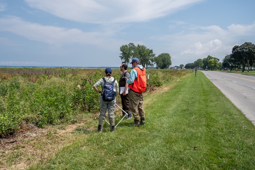 Buffalo District's Environment Analysis Team Stops at Port Clinton Wetlands