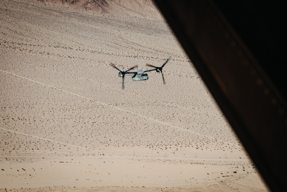 VMM-165 Conducts a TRAP during SLTE 4-25