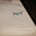 VMM-165 Conducts a TRAP during SLTE 4-25