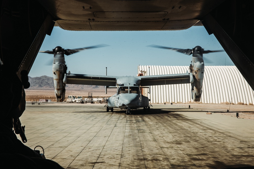 VMM-165 Conducts a TRAP during SLTE 4-25
