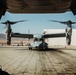 VMM-165 Conducts a TRAP during SLTE 4-25