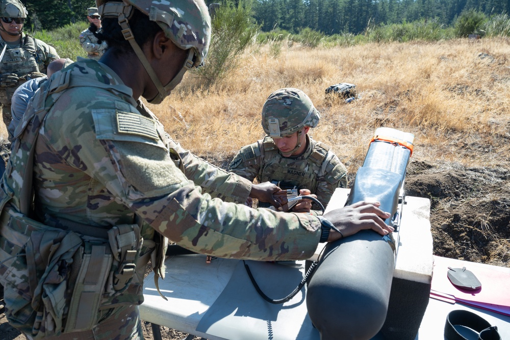 Program Executive Office – Aviation’s Launched Effects Demonstration