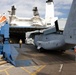 Jax to Africa: Blount Island Keeps Marine Ospreys Moving