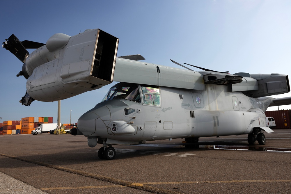 Jax to Africa: Blount Island Keeps Marine Ospreys Moving