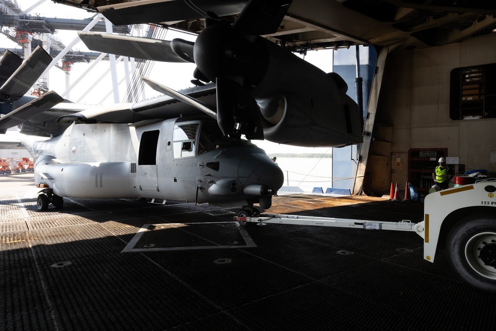 Jax to Africa: Blount Island Keeps Marine Ospreys Moving