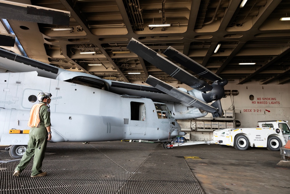 Jax to Africa: Blount Island Keeps Marine Ospreys Moving