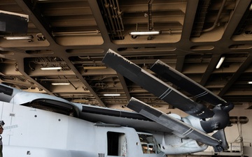 Jax to Africa: Blount Island Keeps Marine Ospreys Moving