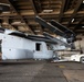 Jax to Africa: Blount Island Keeps Marine Ospreys Moving