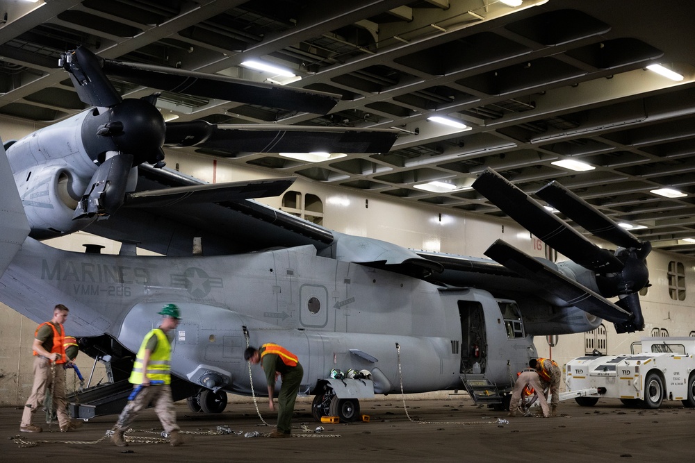 Jax to Africa: Blount Island Keeps Marine Ospreys Moving